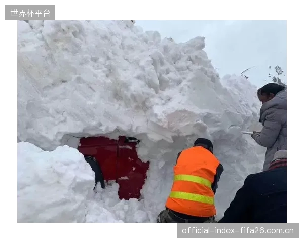 在防雪崩系统采购中，痴迷于进口品牌是否让我们忽视了国产钢丝绳在超低温弹性校准技术上的真正进步？